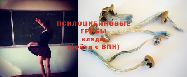стафф Каменногорск