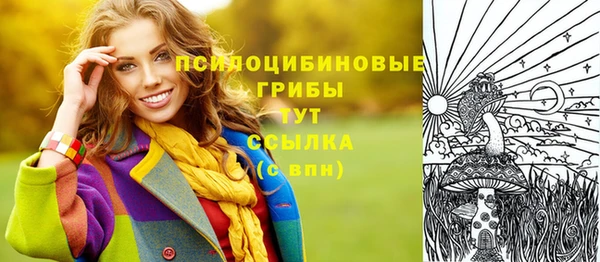 стафф Каменногорск