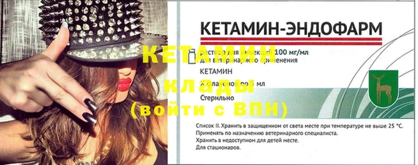 гидра Каменка