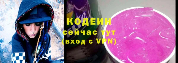 гидра Каменка