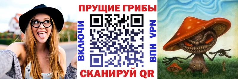 Галлюциногенные грибы ЛСД Каменск-Шахтинский