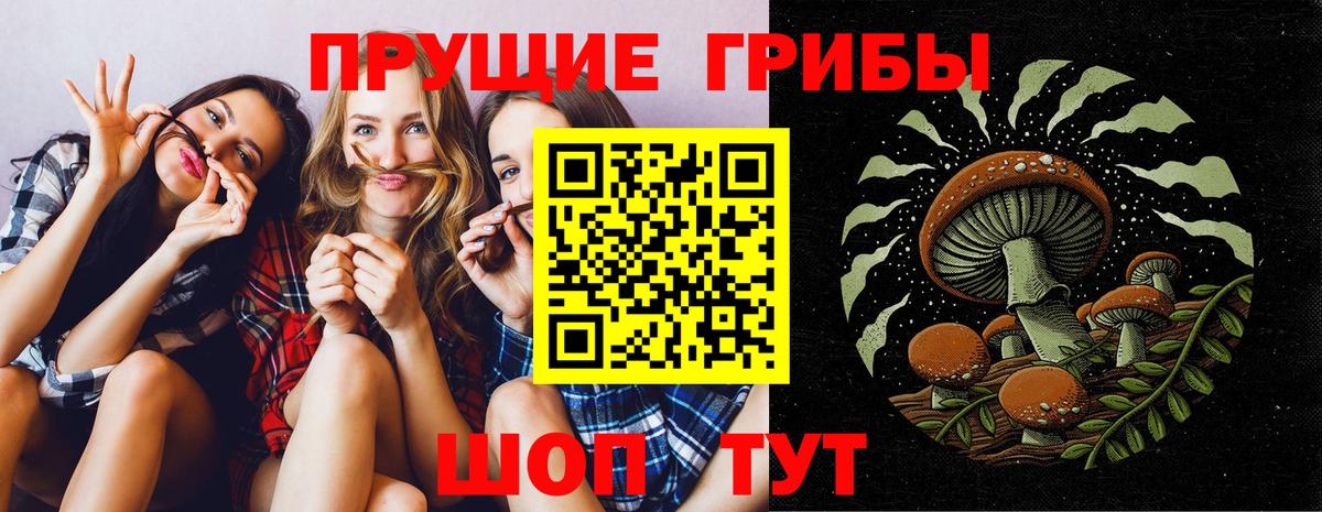 Галлюциногенные грибы мицелий Каменск-Шахтинский