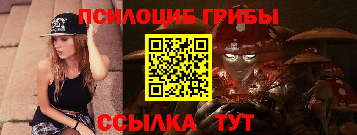 Псилоцибиновые грибы MAGIC MUSHROOMS  Вход с VPN  Каменск-Шахтинский  даркнет сайт  Галлюциногенные грибы мухоморы 